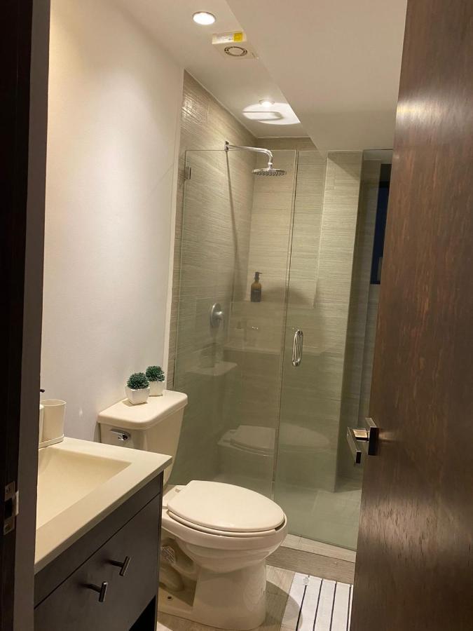 Corazon De Condesa Apartman Mexikóváros Kültér fotó